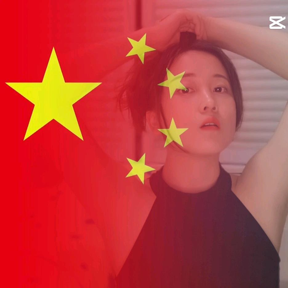 家有五猫，招财进宝（5+2）