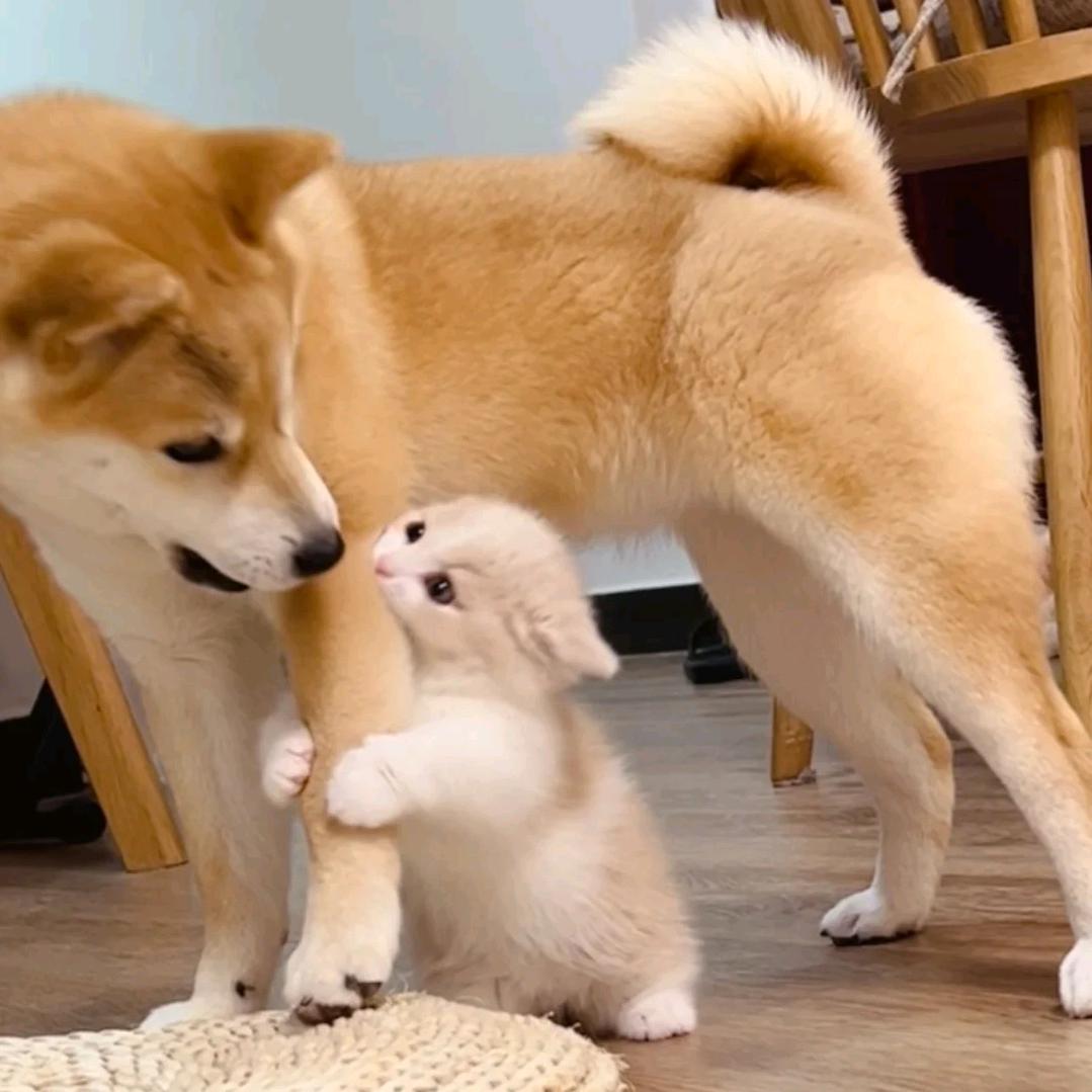 约禾