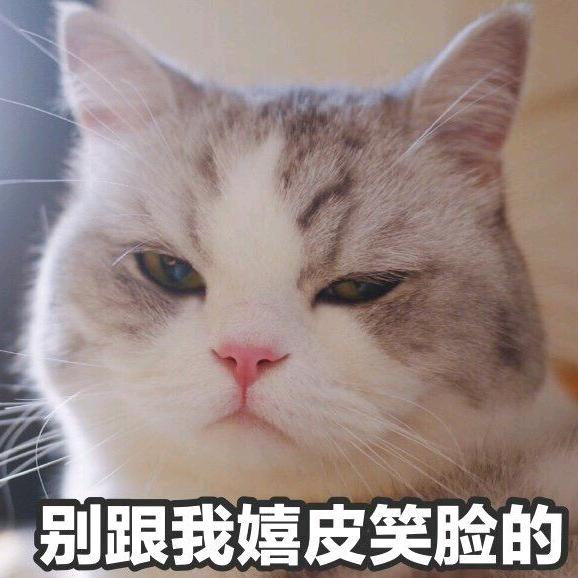 别跟我嬉皮笑脸的