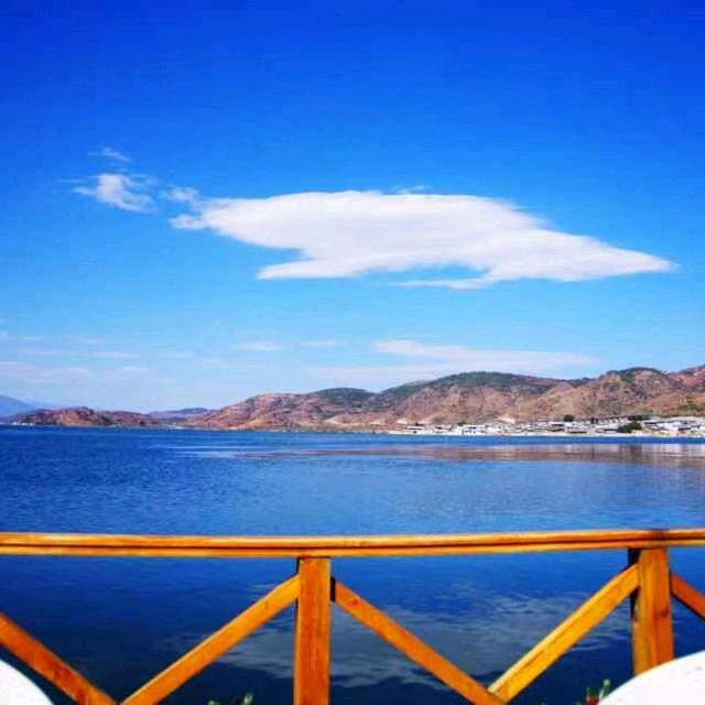 宠辱不惊（老杨）