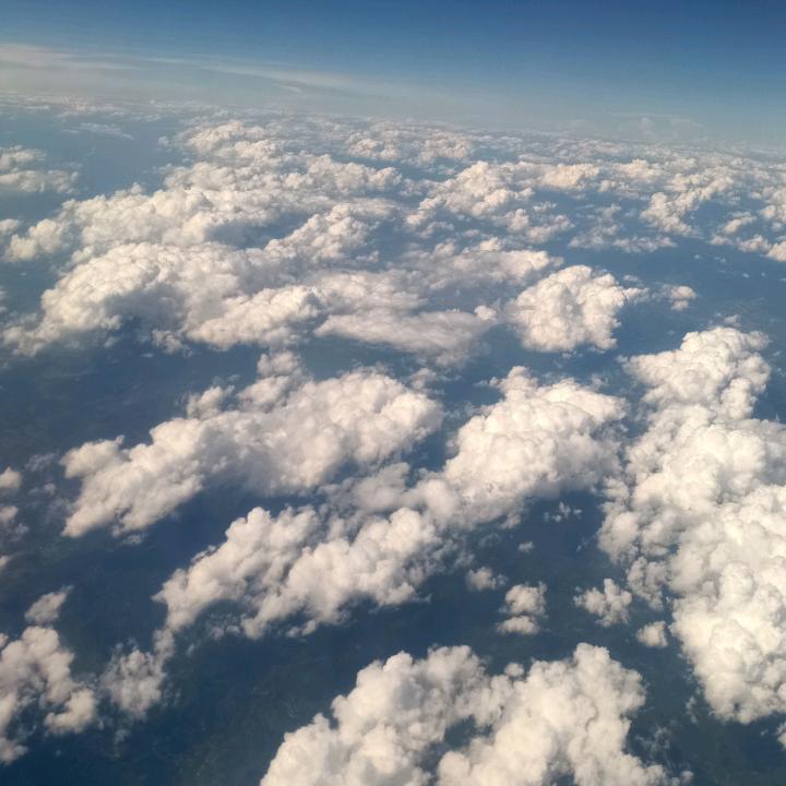 奔跑中的老马@*٩(๑´∀`๑)ง*