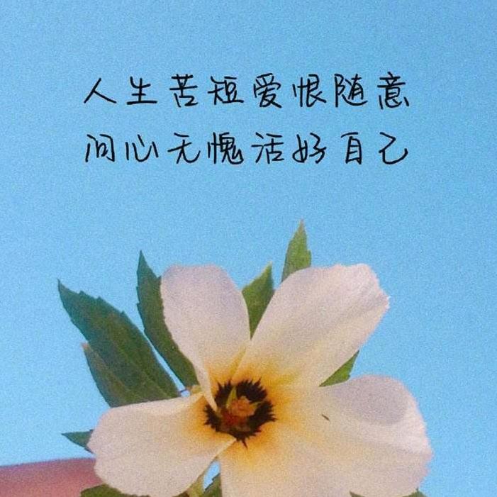 🇨🇳何泽春