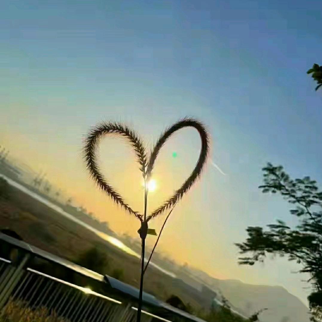 四 季 水 果