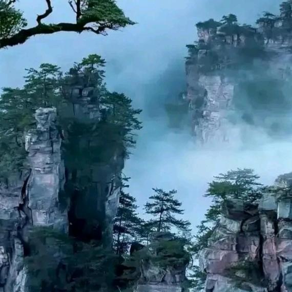 好人好梦头像