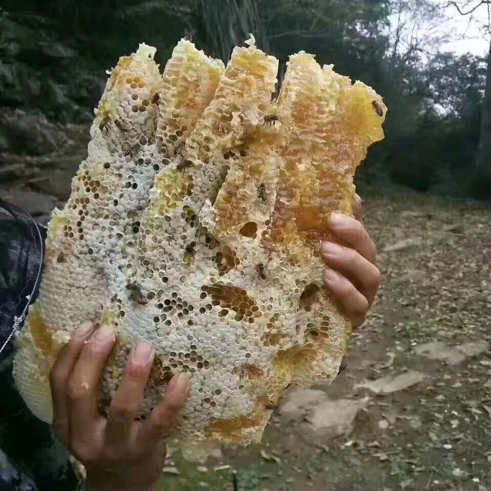 刘氏养蜂专业户自产自销蜂蜜