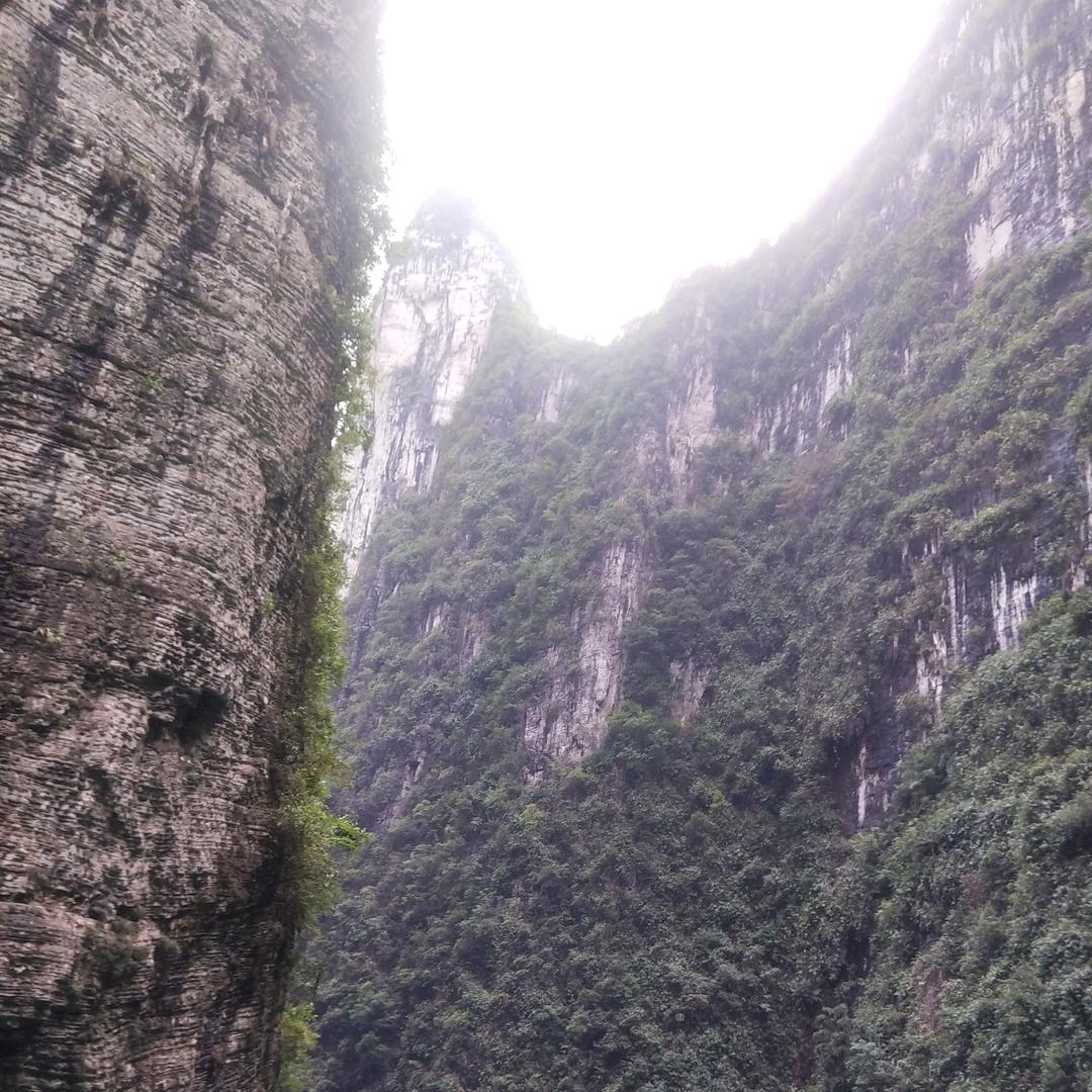 🌈*。🌈🌈🌈🌈🌈