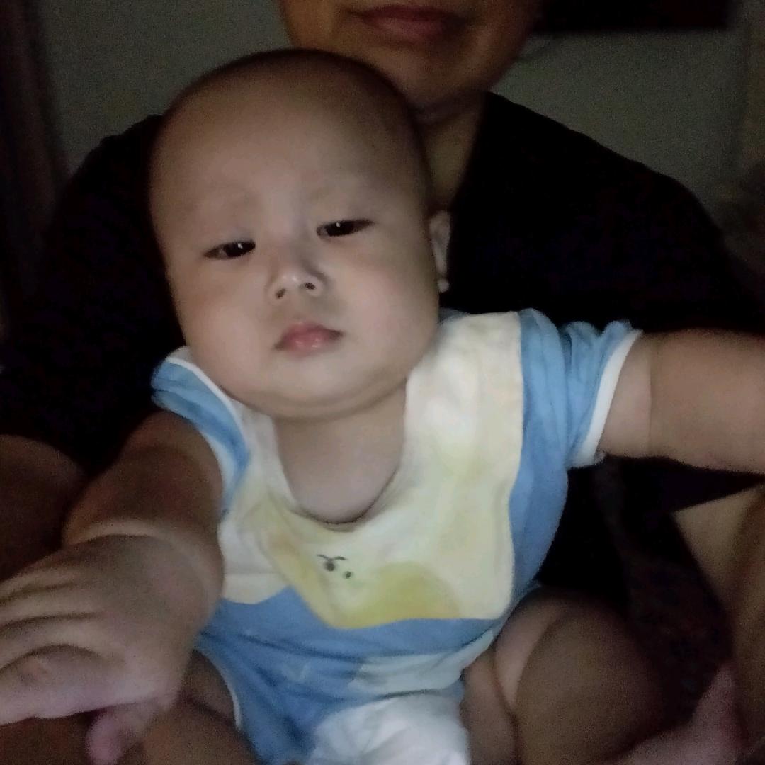 我是一只开心的小猫