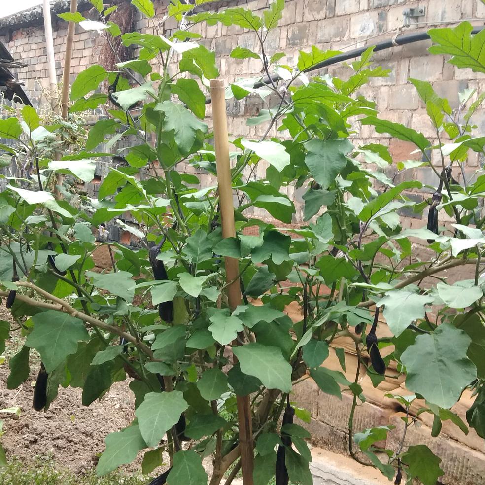王荣明