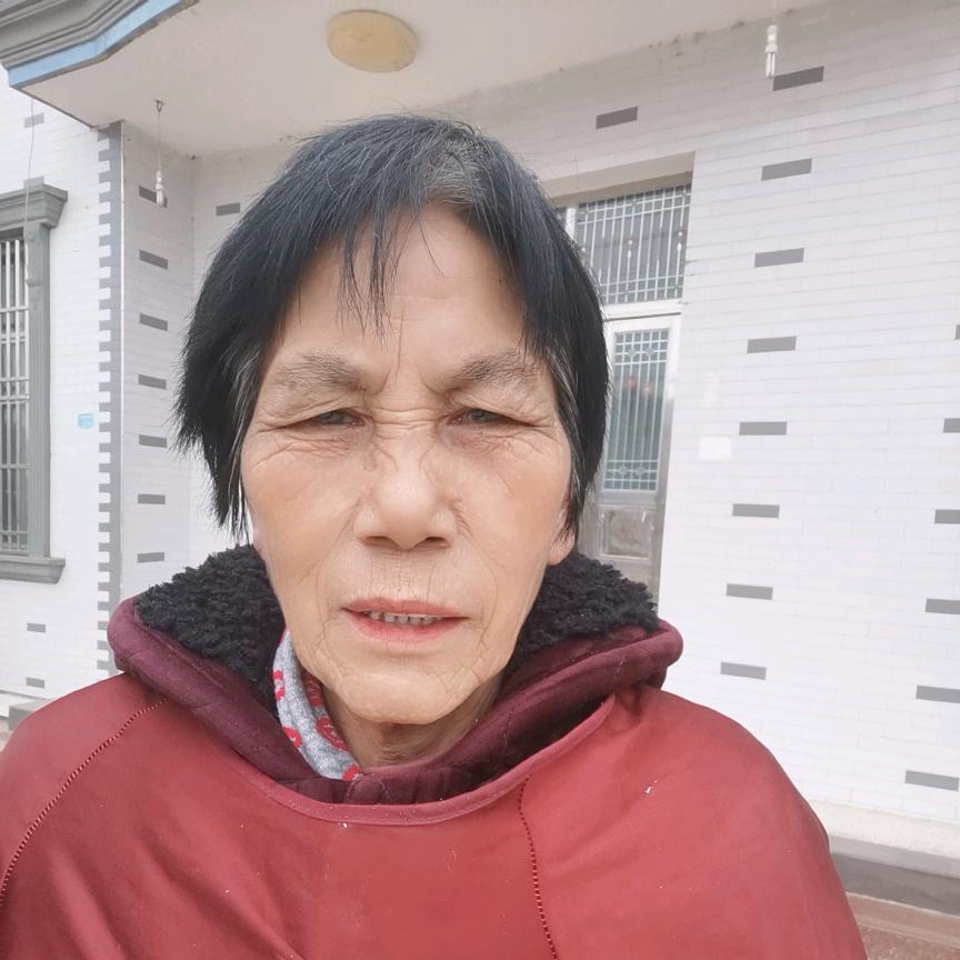 尚菊