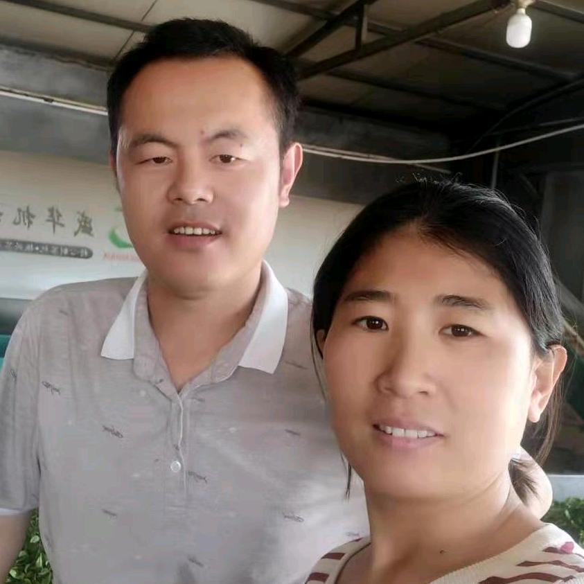 日照绿茶润洁