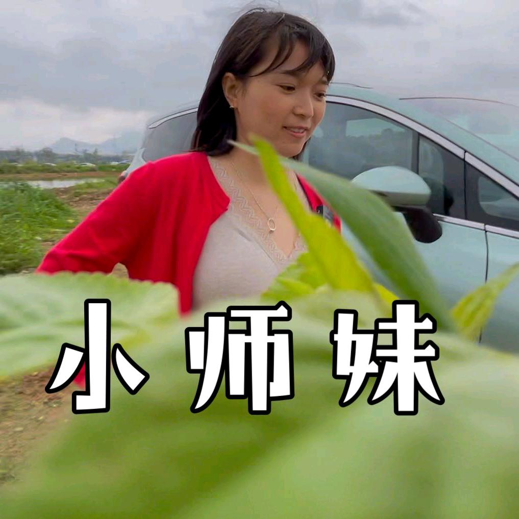 塘厦小师妹汽车咨询