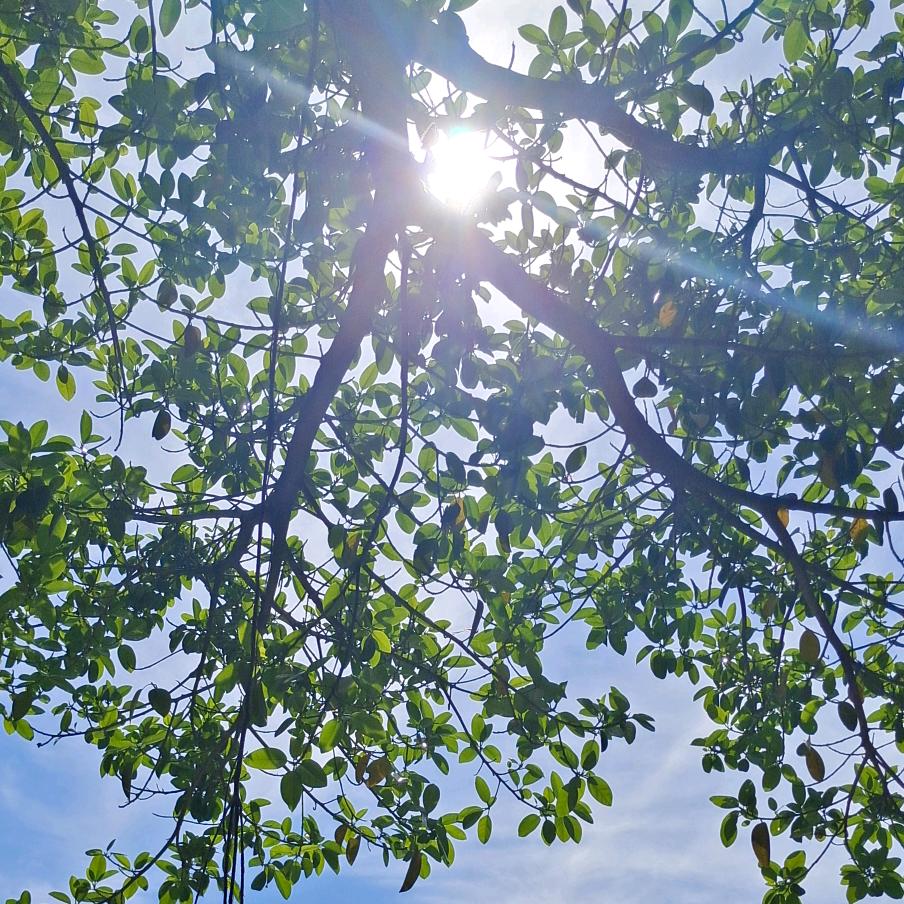 高铁快运小时达——娄底南