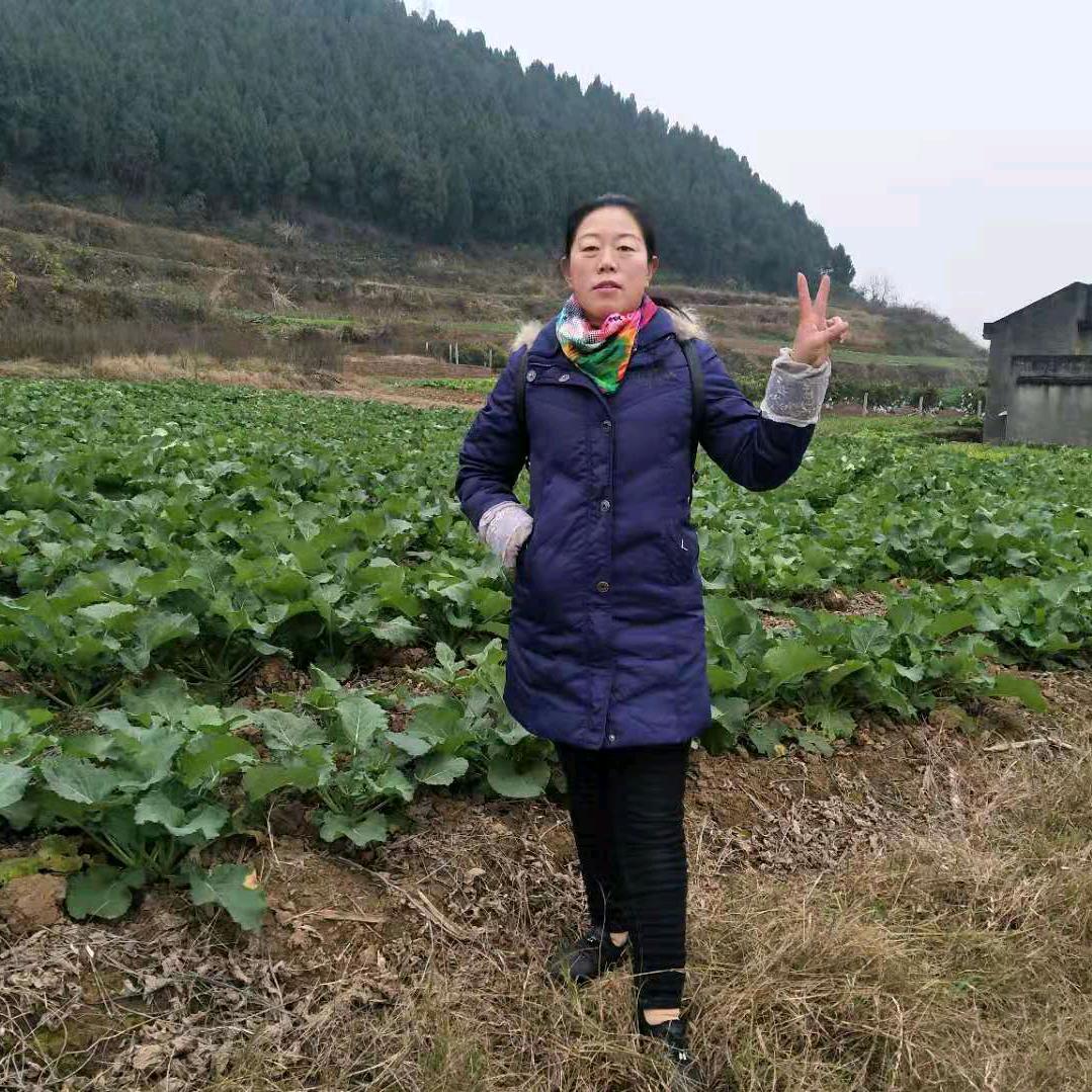 有家就幸福(聊天）