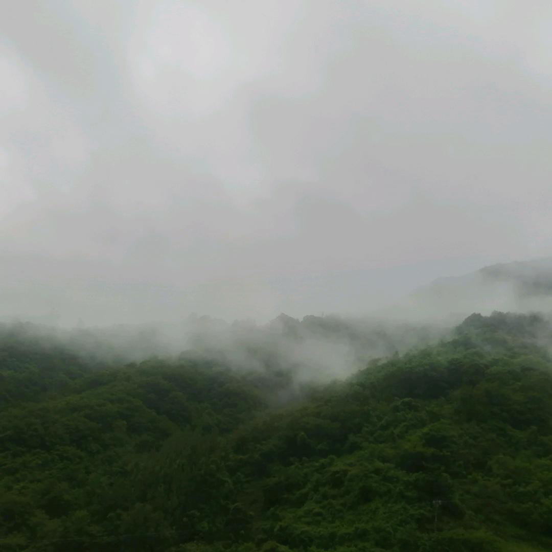 爱瞌睡的趴趴虎_