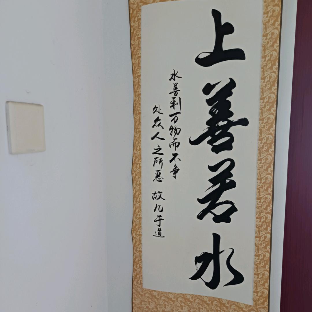 奔跑的电线杆子