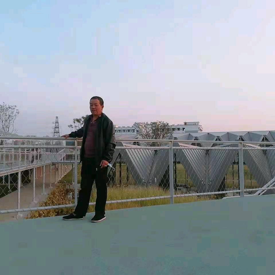 陈氏家族