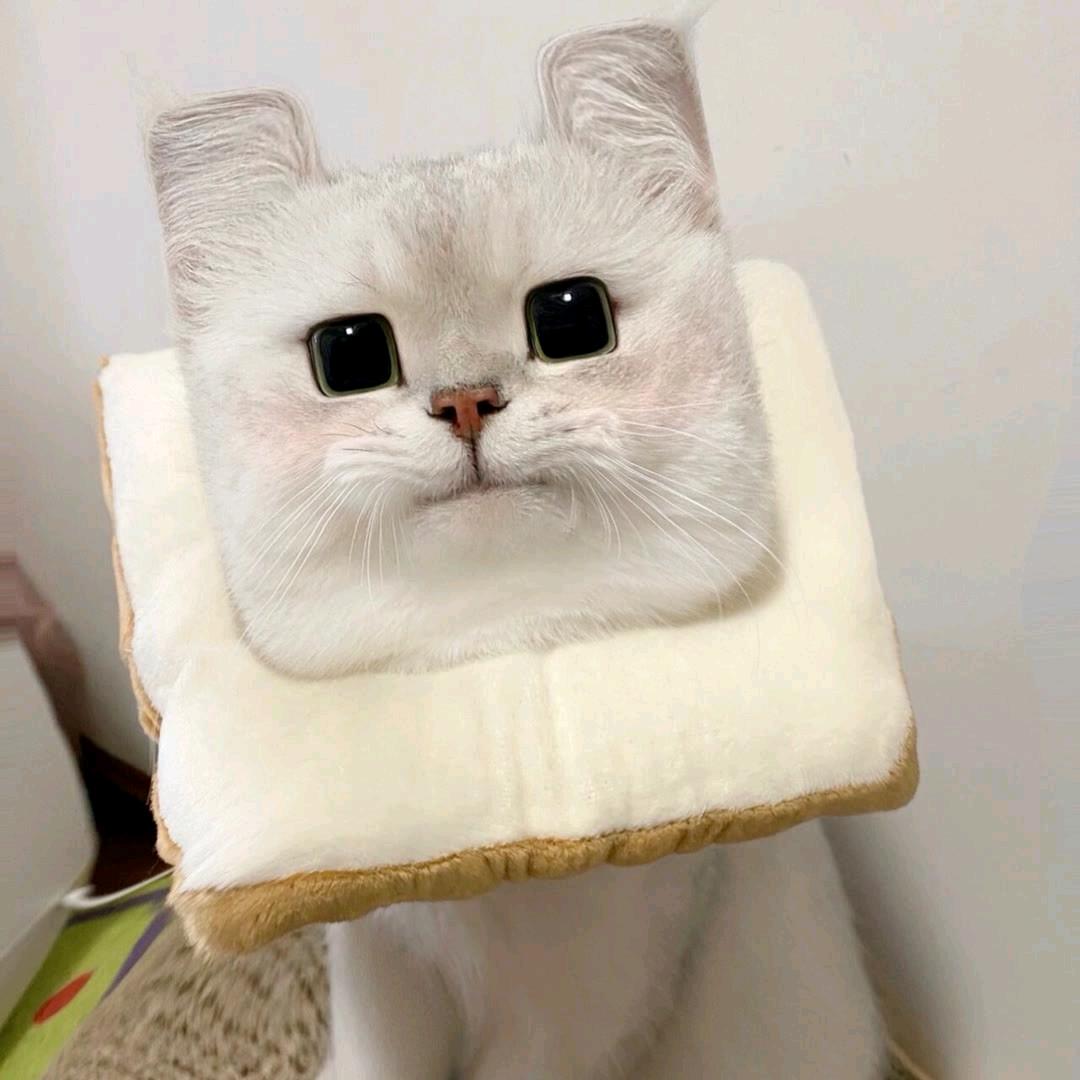 多多 wow