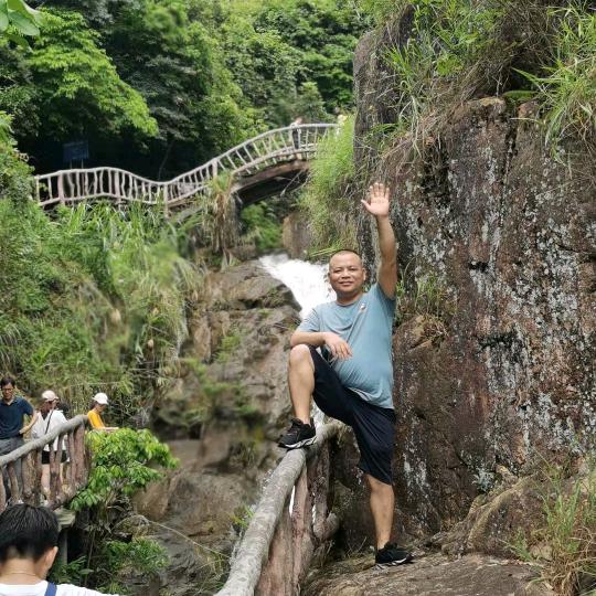 红金龙