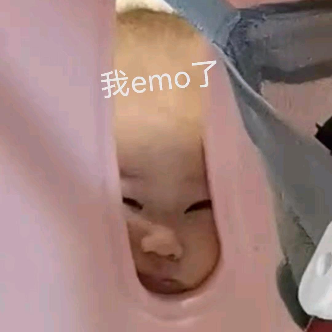 翎羽行万里