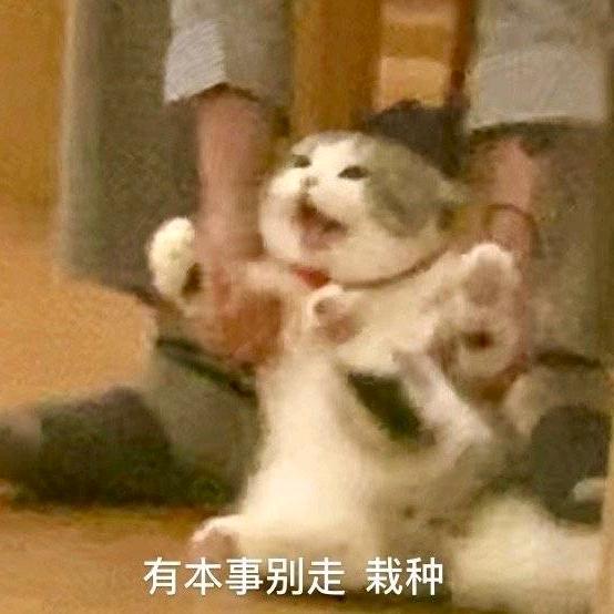 qqq