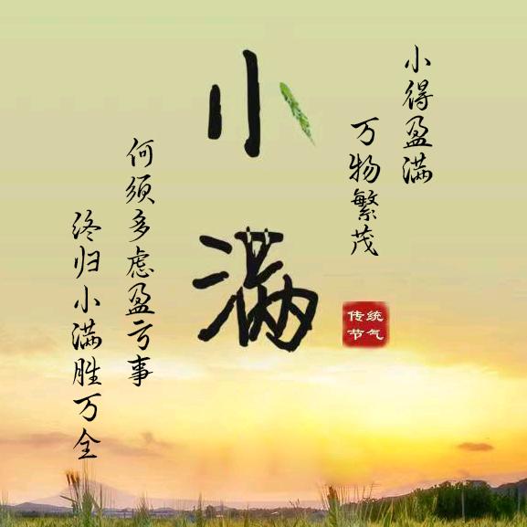 贝尔粘合剂