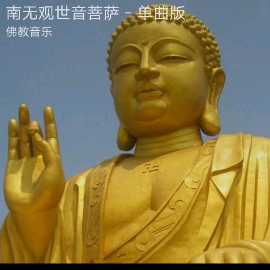 请叫我女王👑🐑