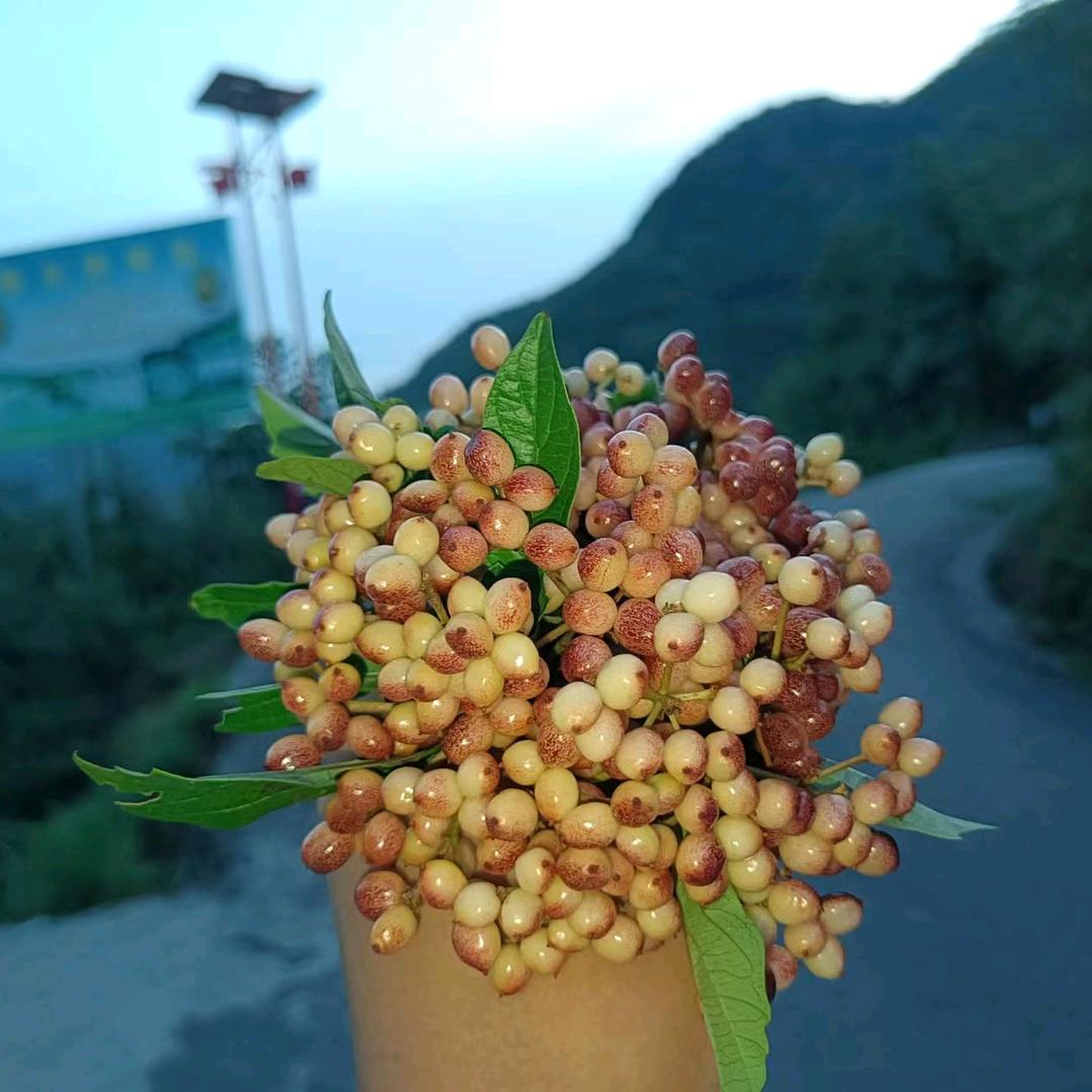 用户1150714149512