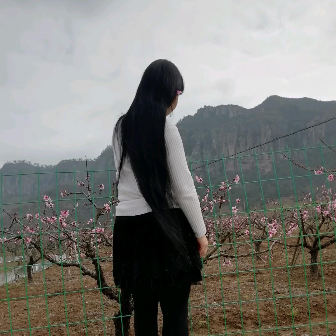 开心姐