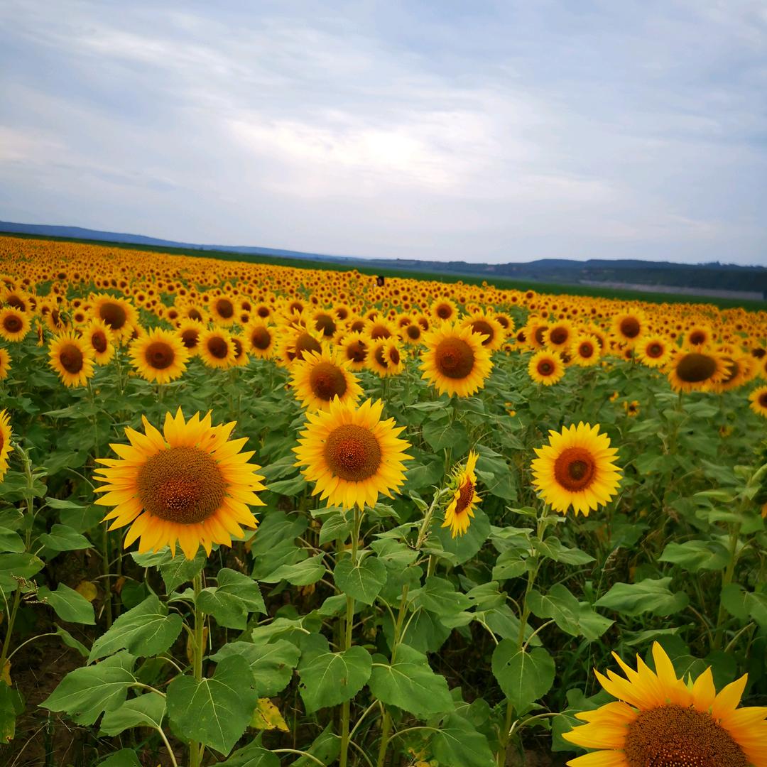春风十里不如你→小曾曾