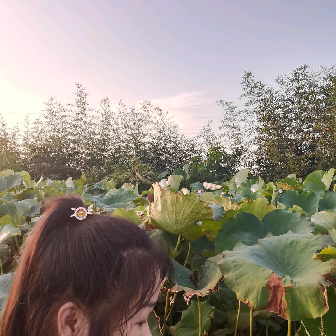 ～～～小刺猬～～