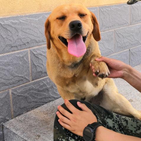 超能力的人