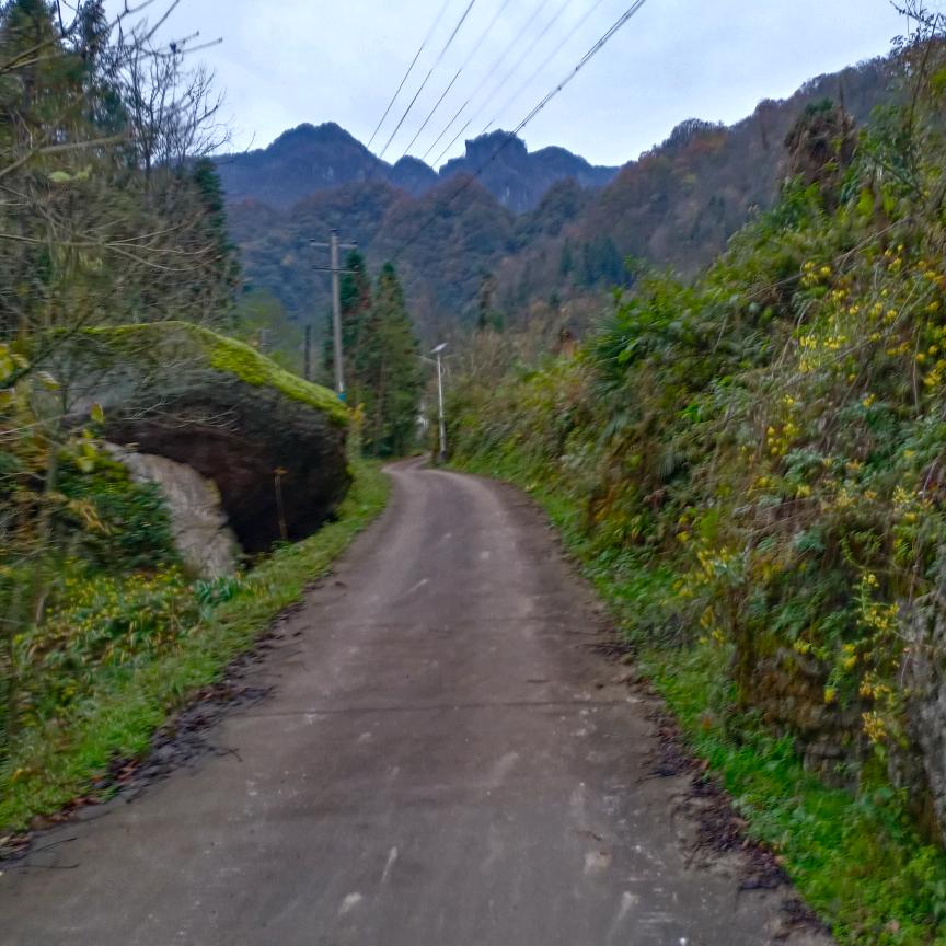 高山青爽