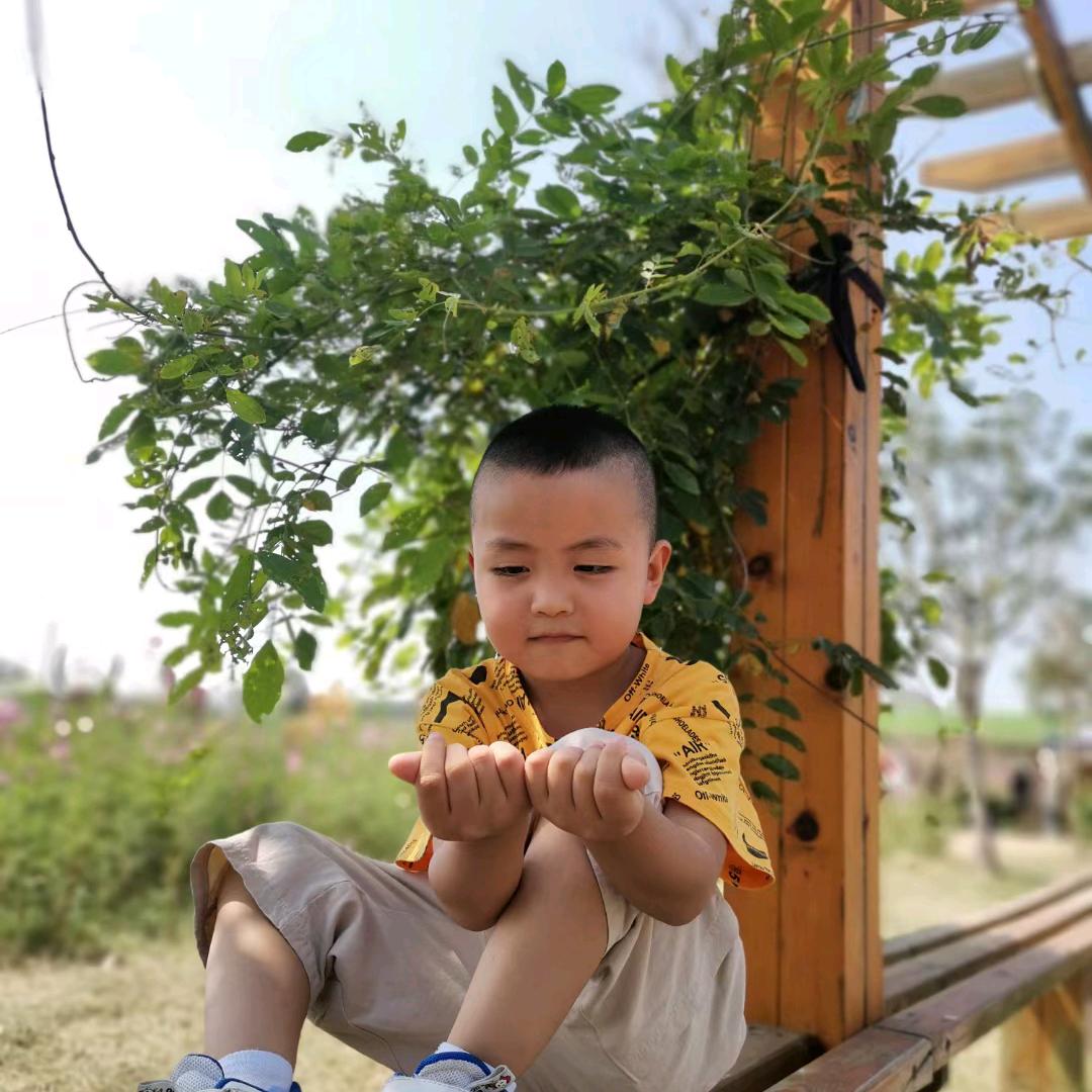 @张@