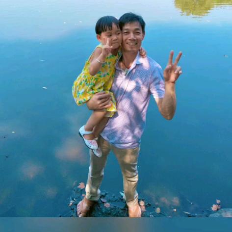 专业买树和破树