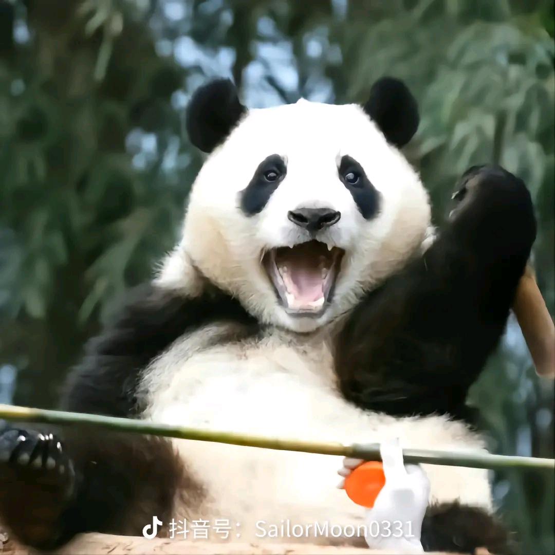 朵朵吖~