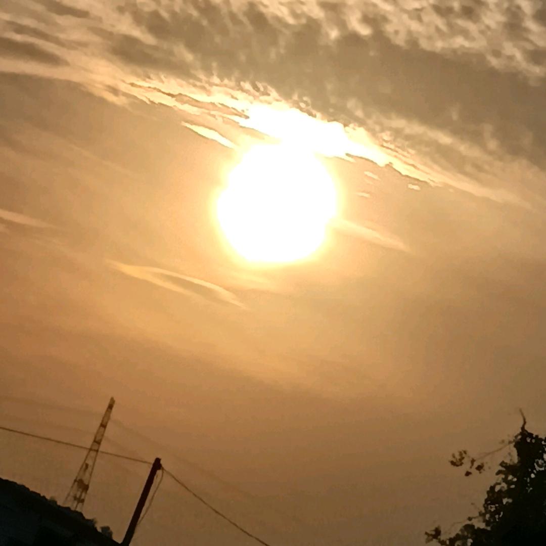 森林狼