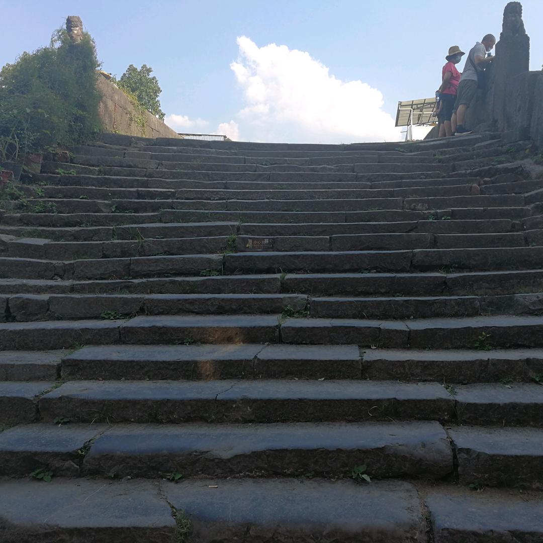 翻身咸鱼王