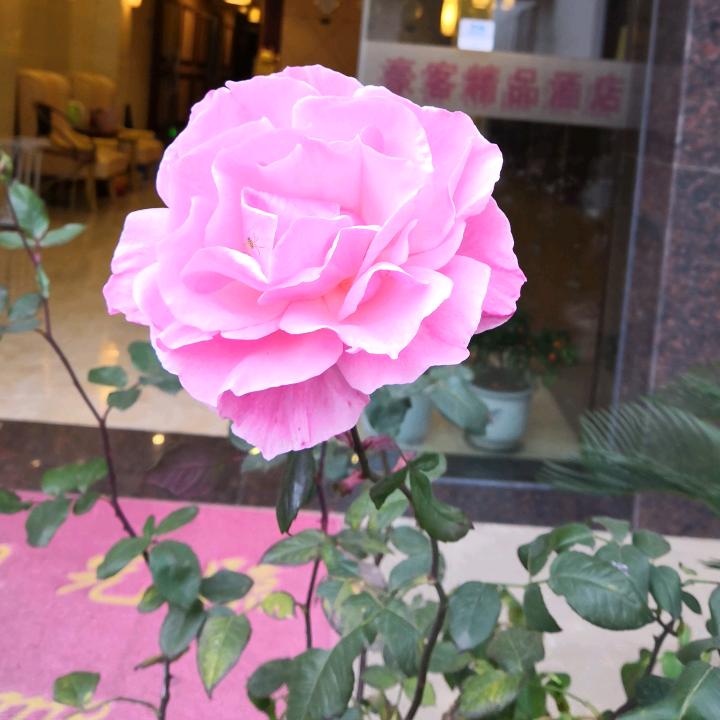 逸云精品酒店欢迎你的到来！