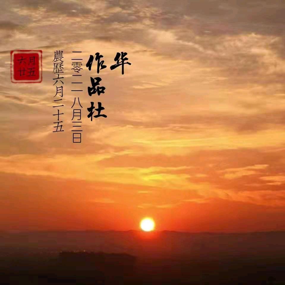 杜姐