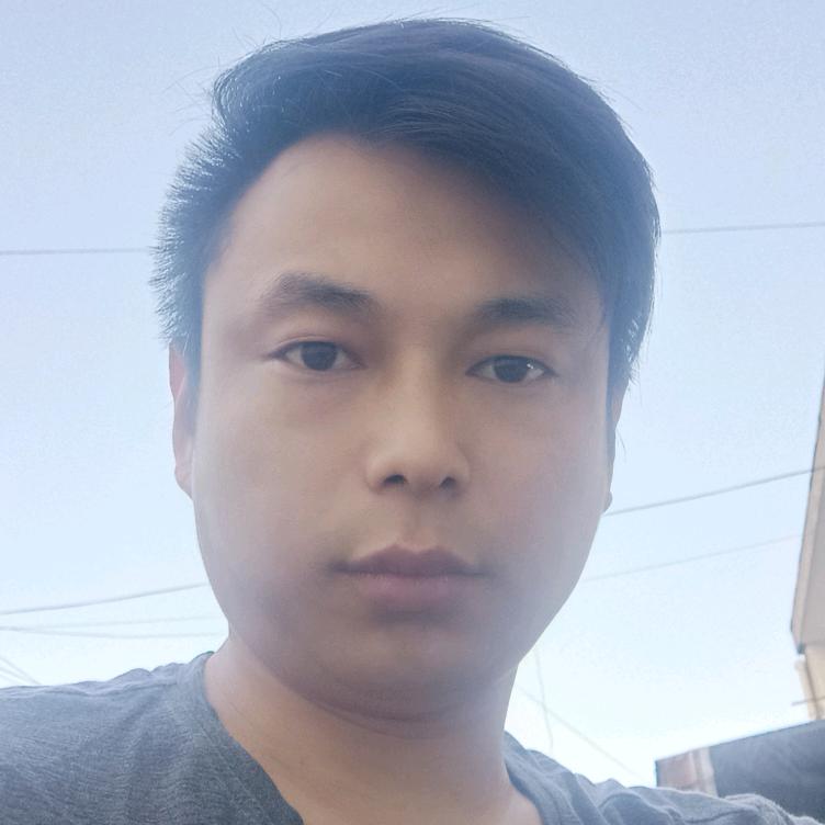 迷龙