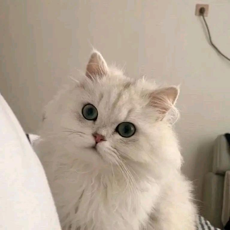 小蒲追剧