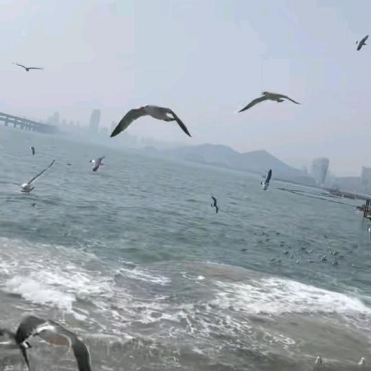 @～海～@