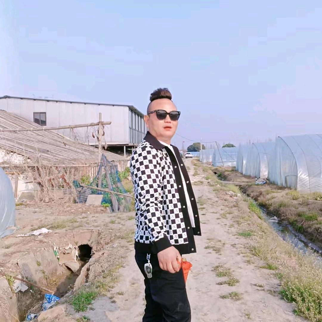 冯磊精品叶子蔬菜🥬🥬批发