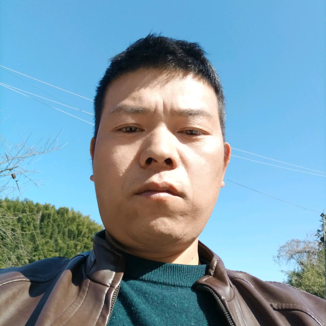 专业贴砖