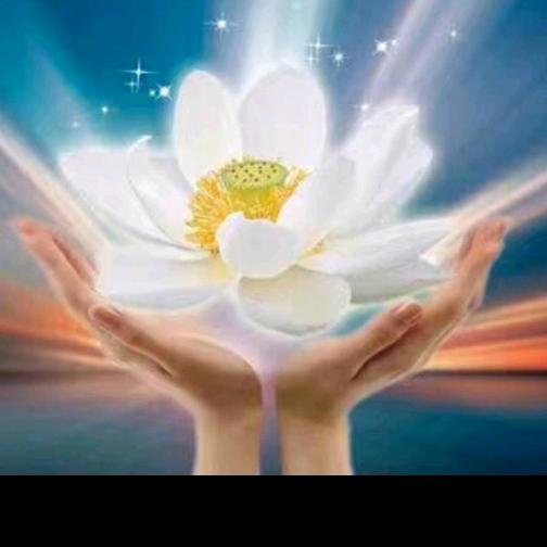 乘畅（九号智能电动车延津店）