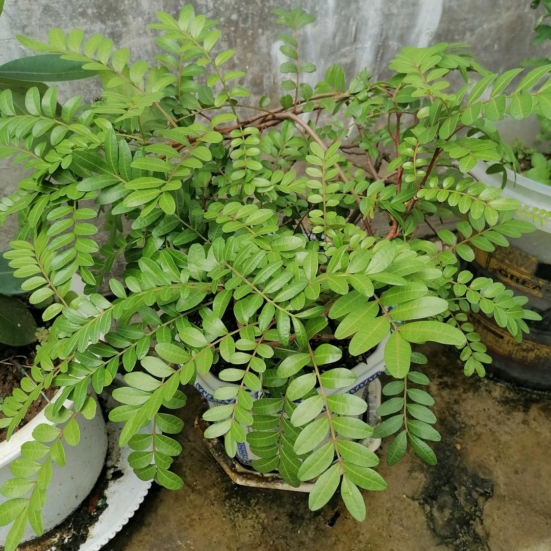 风雨前行
