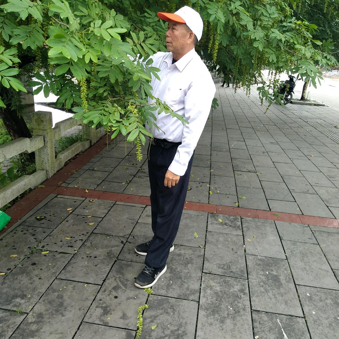华哥