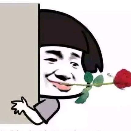 韦哥
