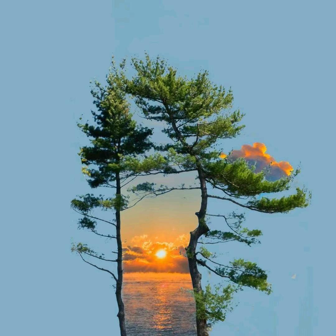 余生陪伴你