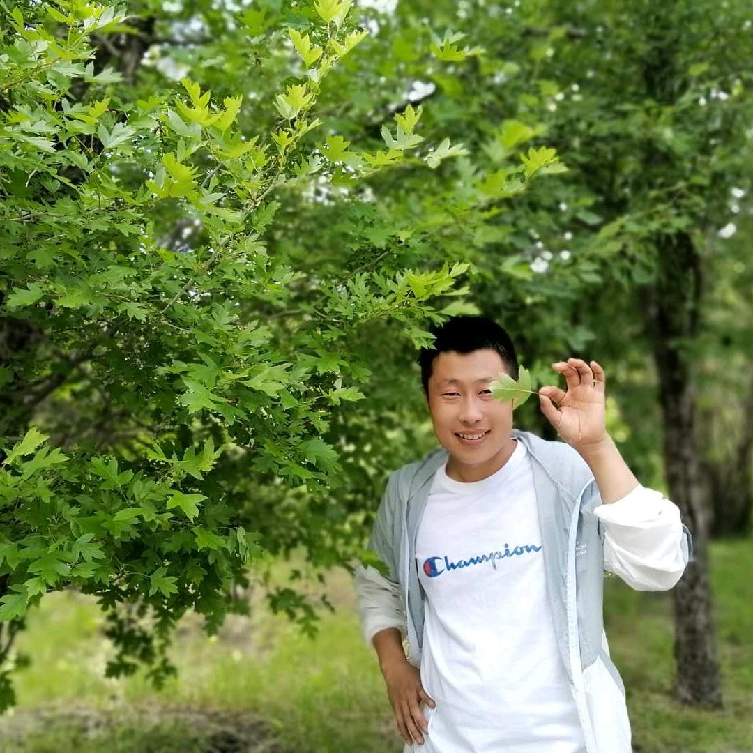 佳木斯 牙齿染色  聋人